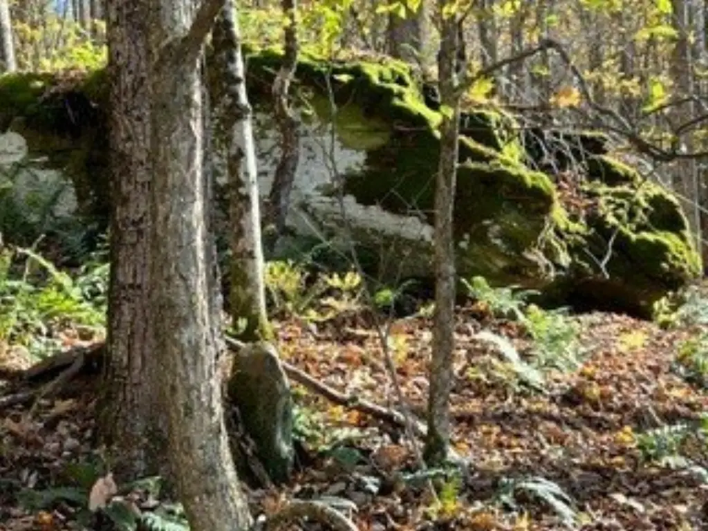Picture 3