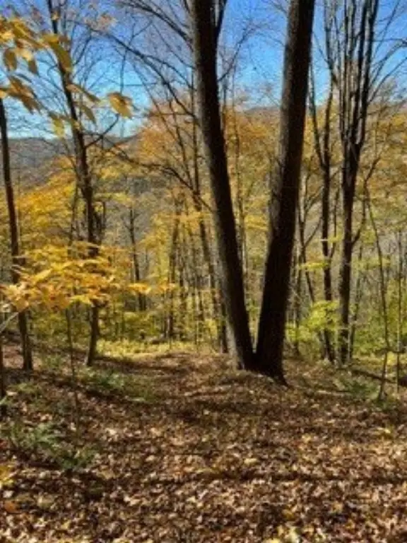 Picture 15