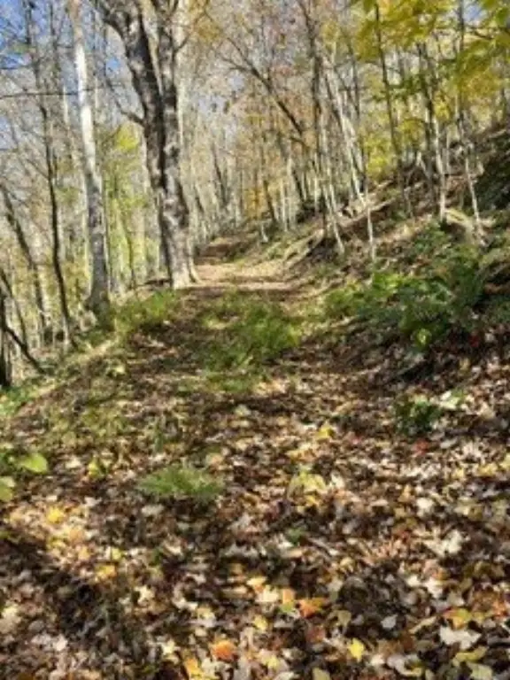 Picture 12
