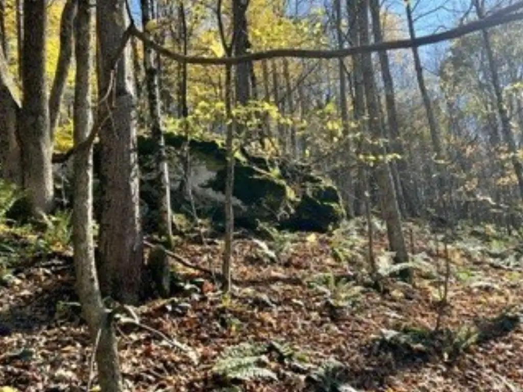 Picture 10