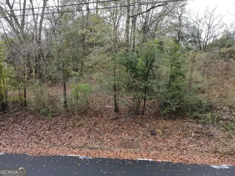 Griffin, GA Raw Land Parcel