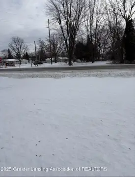 Commercial Land in Morrice, MI