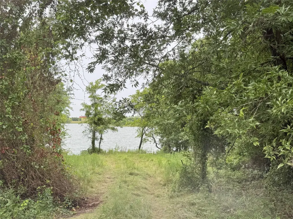 Picture 17