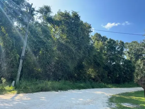 Land Near Suwannee River