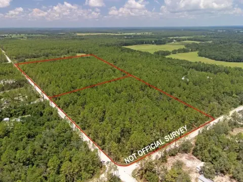 Vacant Land in Bell, Florida