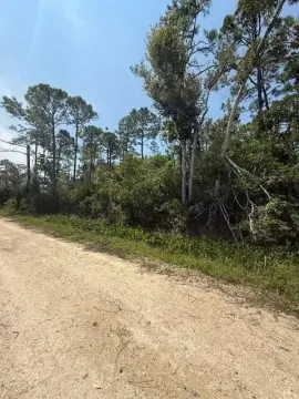 Wooded Lot in Steinhatchee, FL