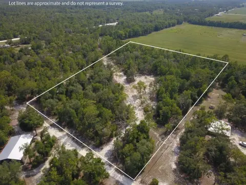 5 Acre Gilchrist County Property