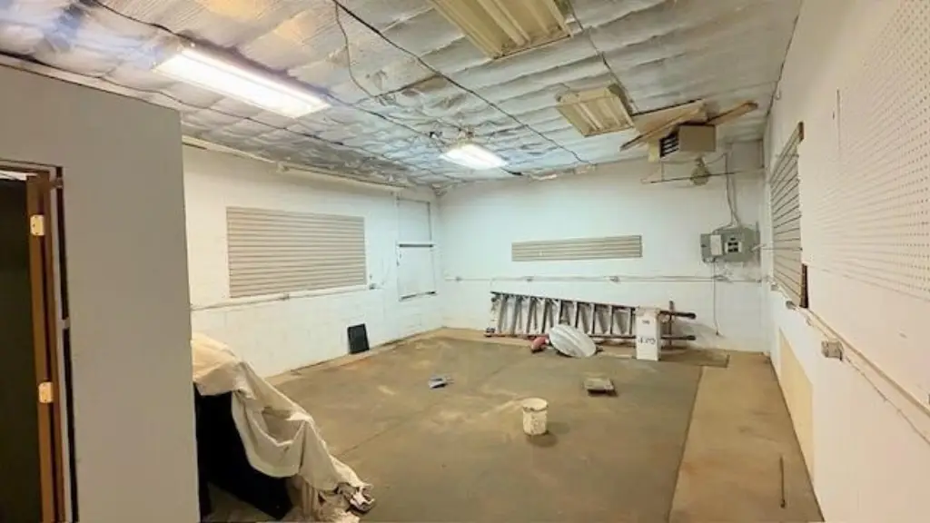 Picture 5