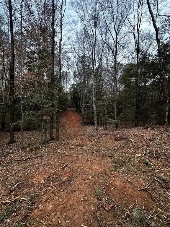 Picture 13