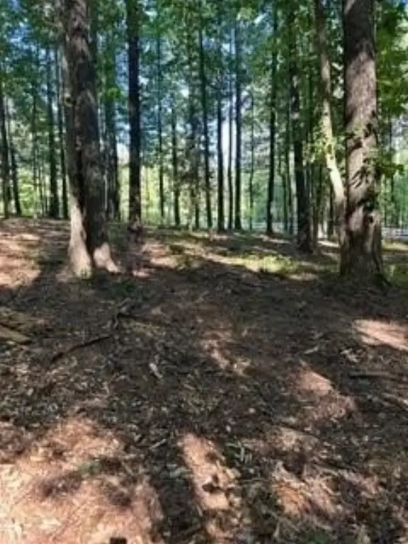 Picture 3