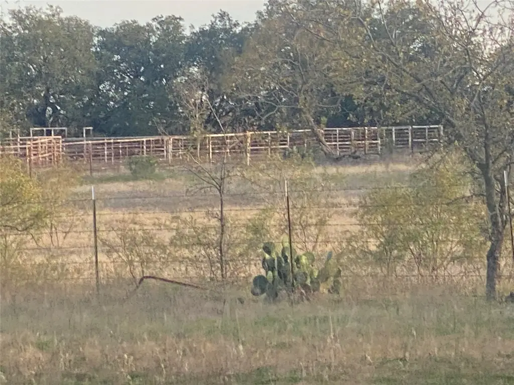 Picture 31
