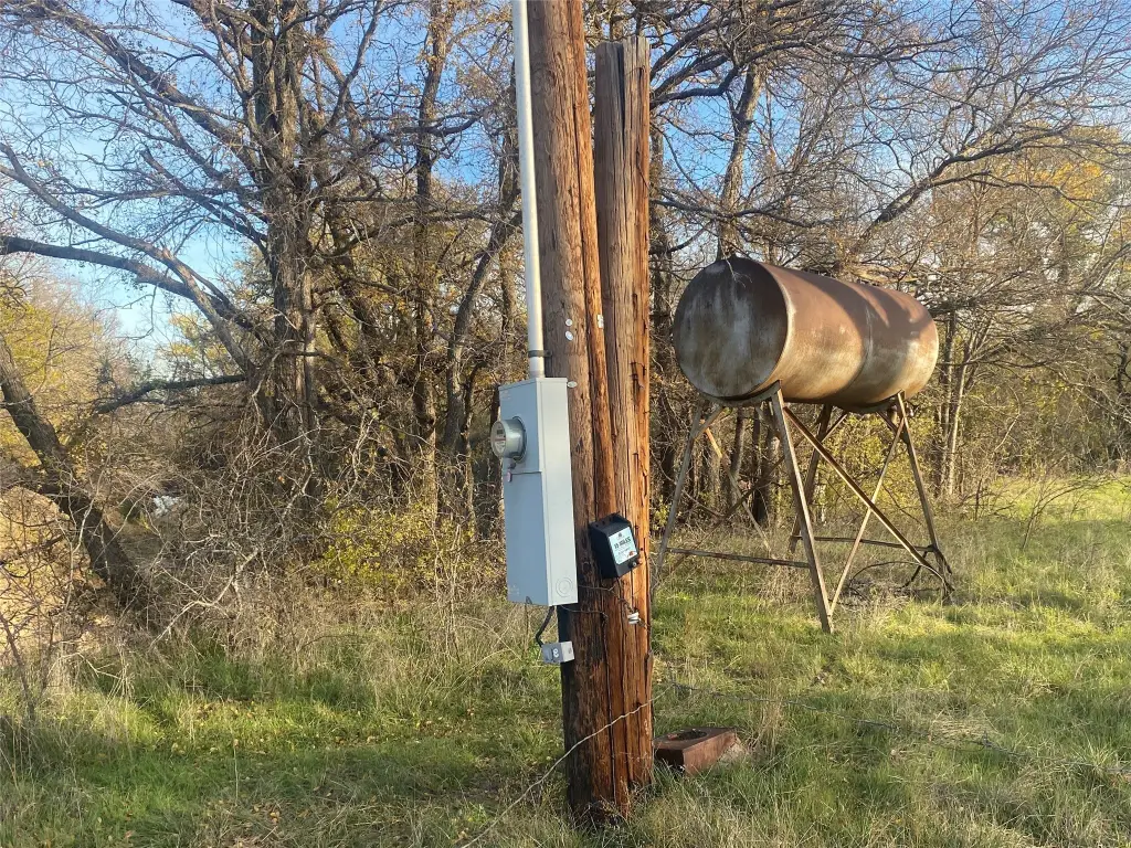 Picture 6