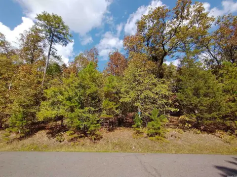Diamante Subdivision Lot in Arkansas