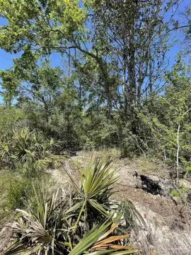 Wooded Land in Milton, Florida
