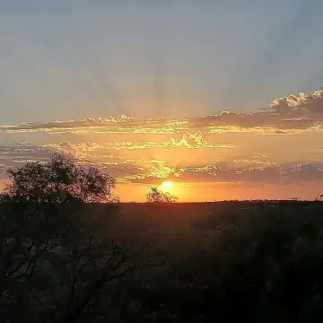 80 Acres in Jones County