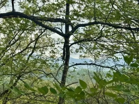 Cullowhee Mountain Getaway Land