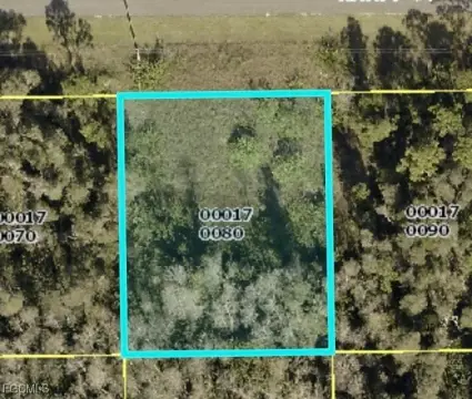 Lehigh Acres Vacant Land