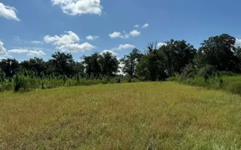 239.5 Acres Ideal for Farming