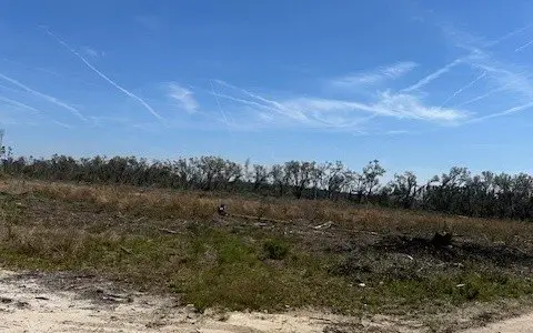 40 Acres Timbered Land