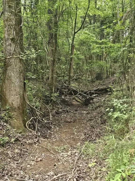 Picture 33