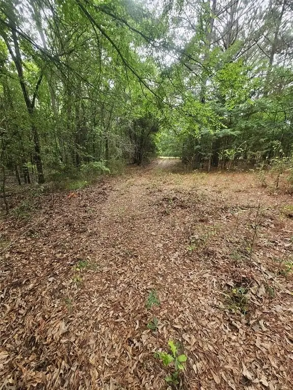 Picture 36