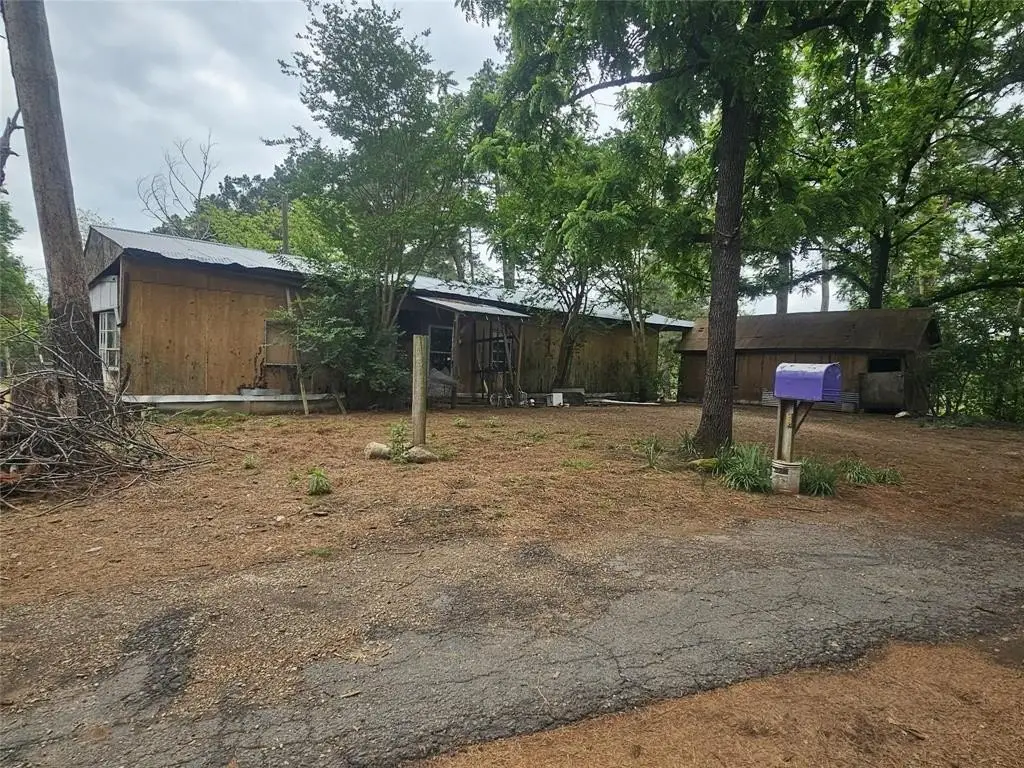 Picture 25