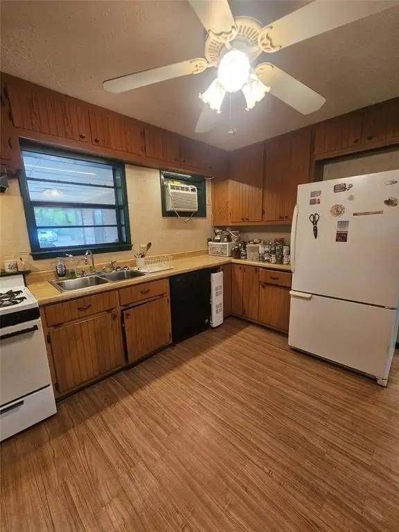 Picture 11