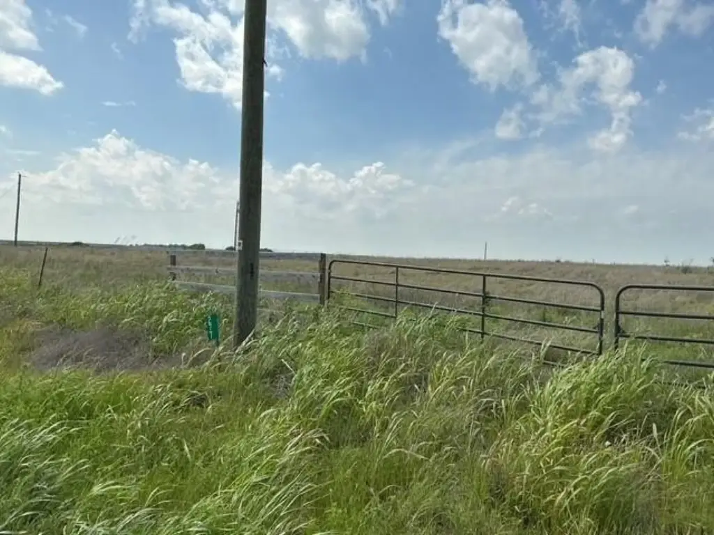 Picture 18
