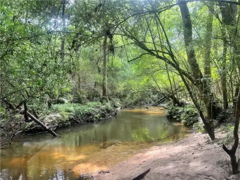 Untouched Wooded Land in Mobile