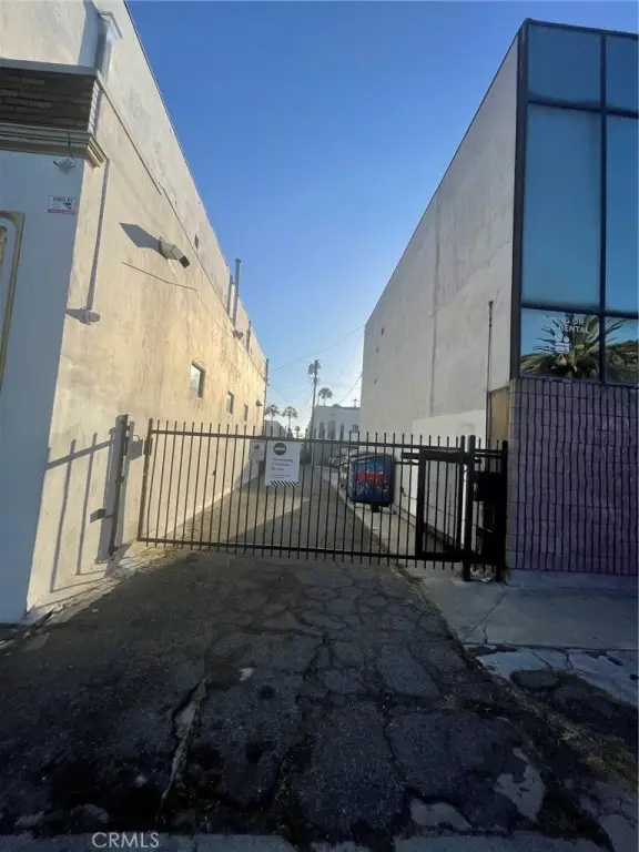 Picture 15