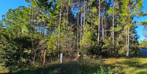 Carrabelle, FL Residential Lot