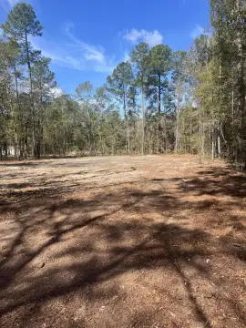 Residential Land in Walterboro, SC