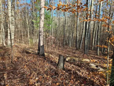 Land in Running Deer Estates