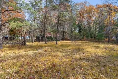 Vacant Land Near Indian River