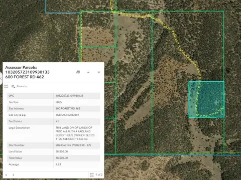 Secluded Land Bordering National Forest