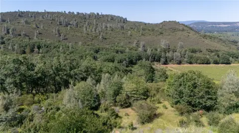 38.85-Acre Rural Agricultural Parcel