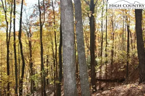 Wooded Lot in Cabin Neighborhood