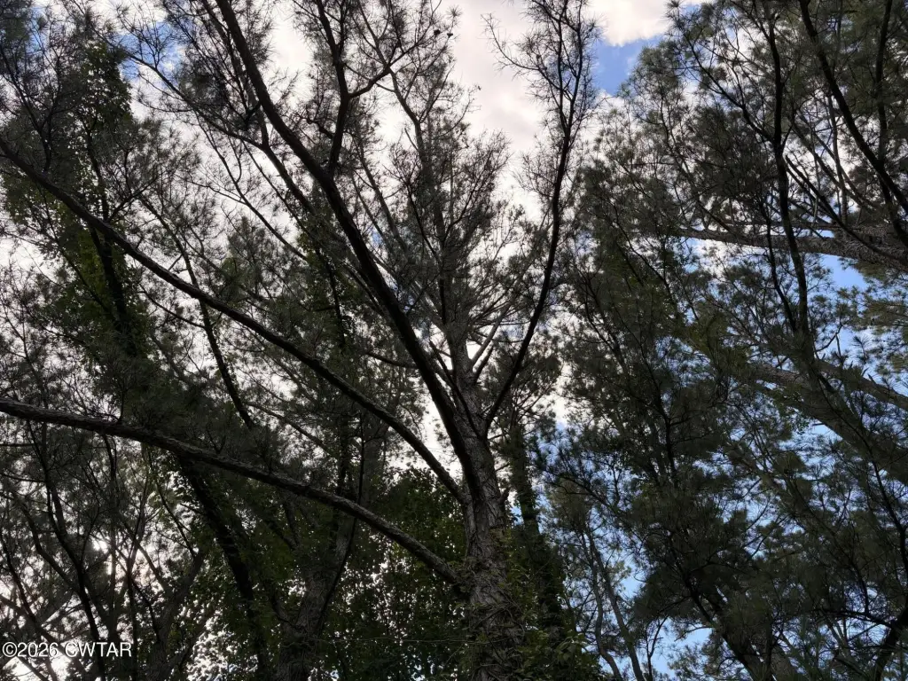 Picture 21