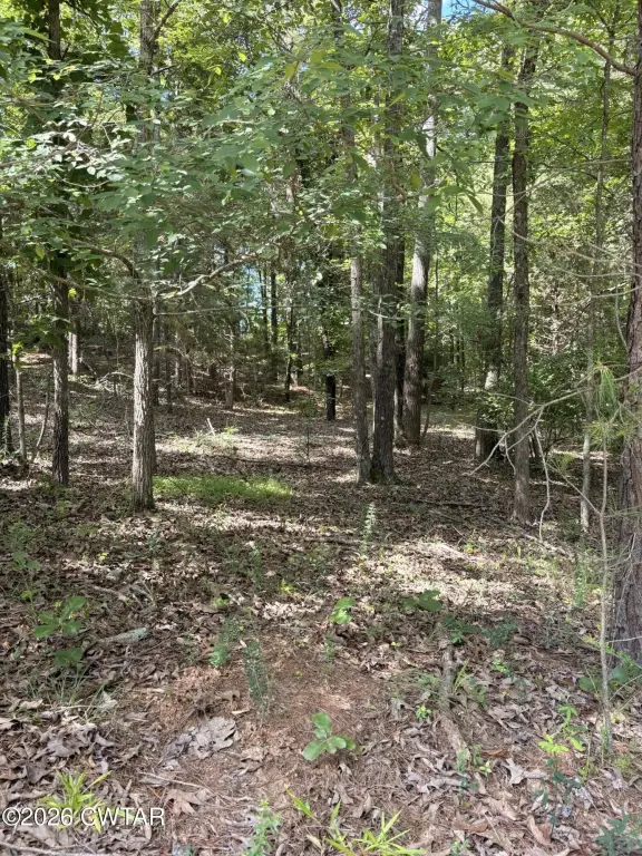 Picture 11