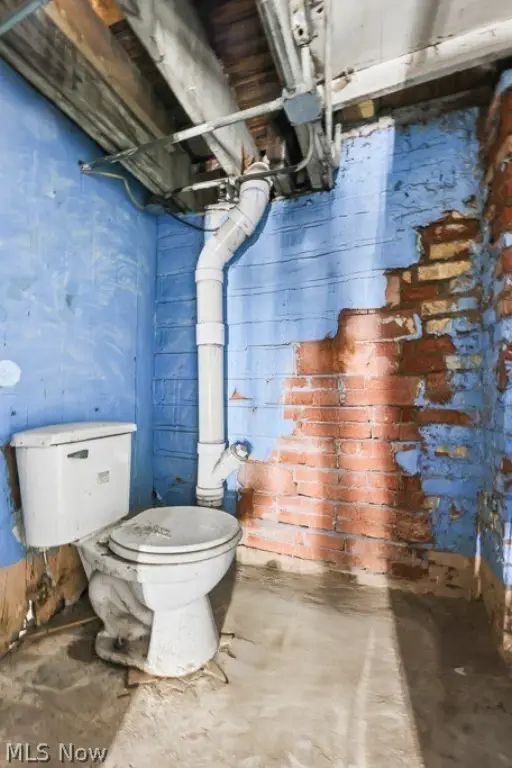 Picture 42