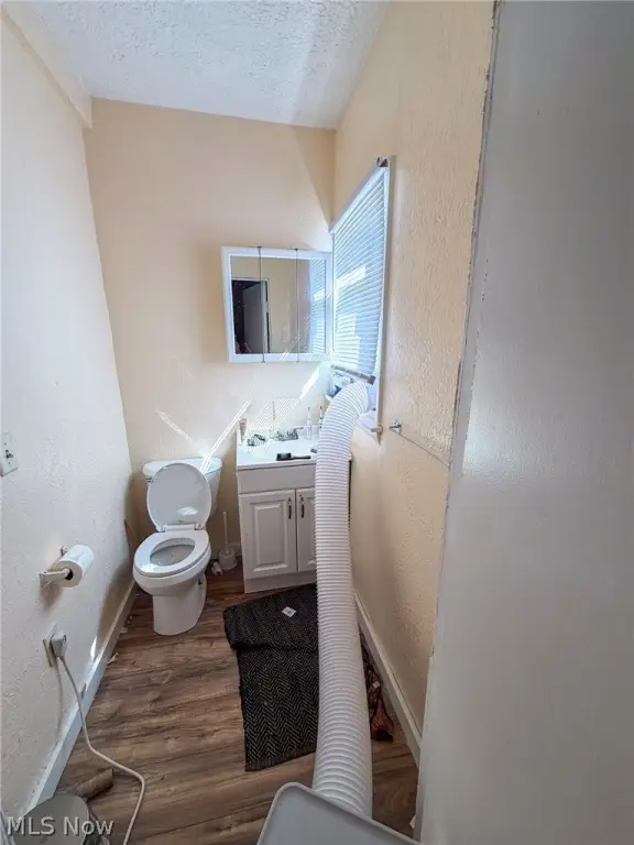 Picture 19