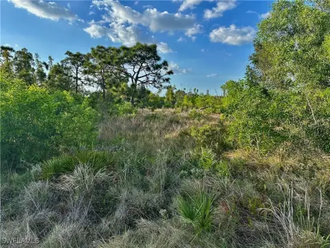 Oversized Lot on Pine Island