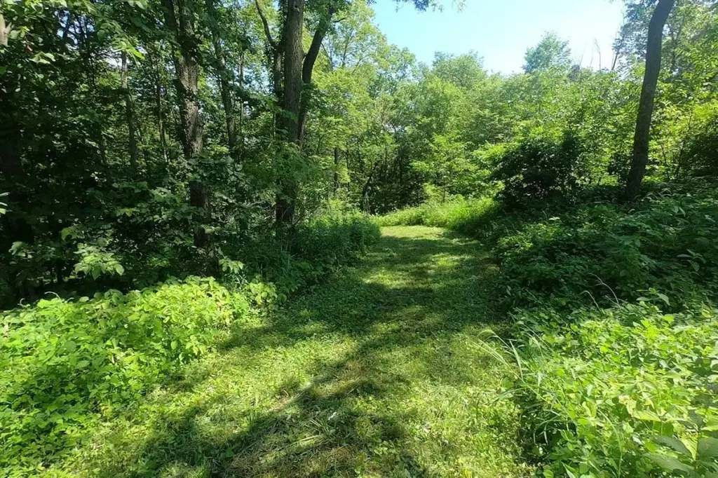 Picture 8