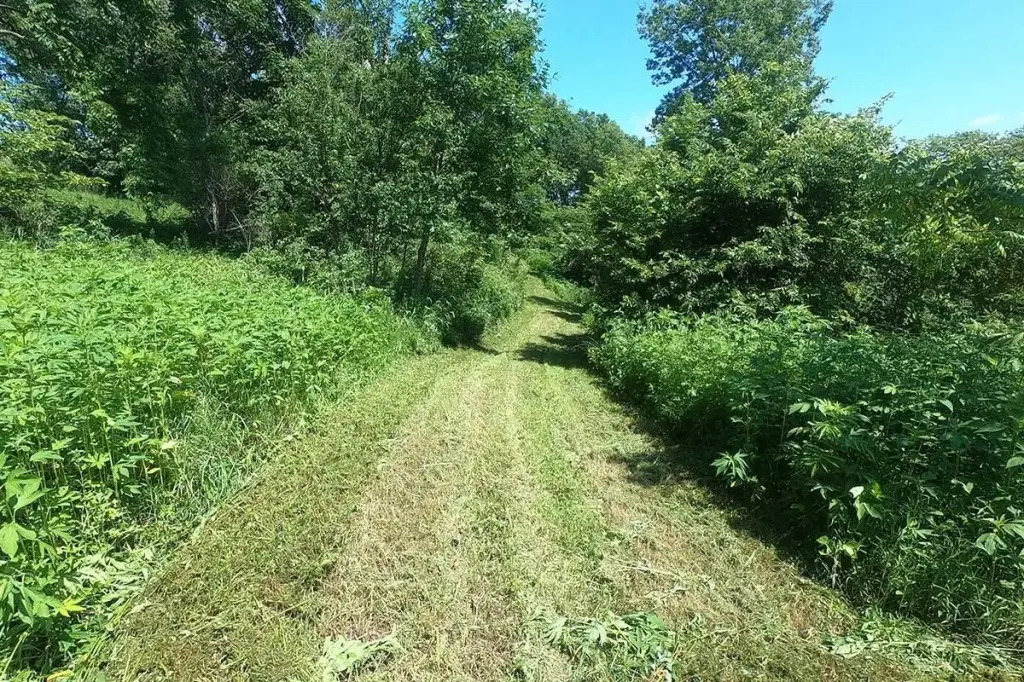 Picture 9