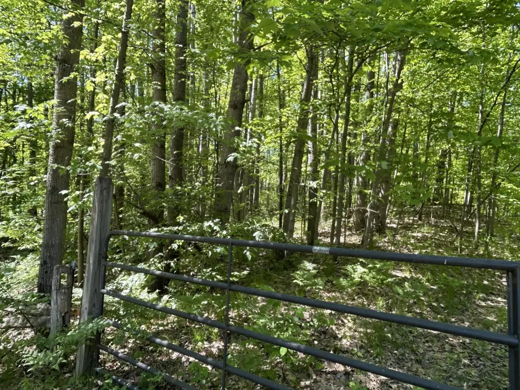 Picture 3