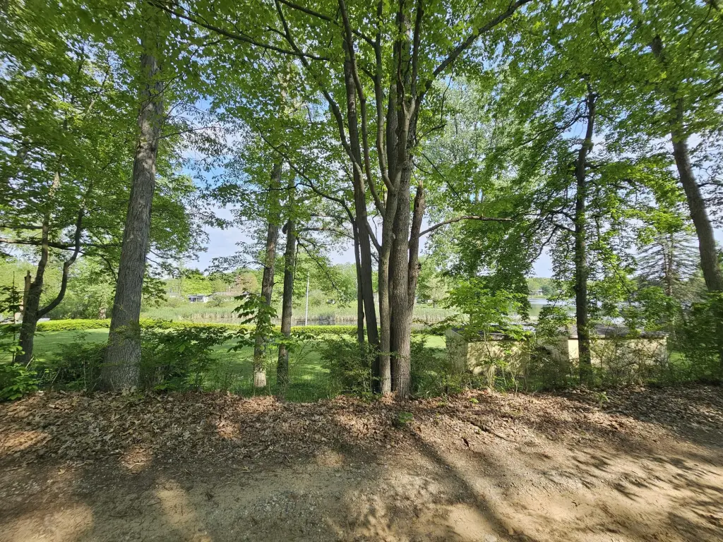Picture 24