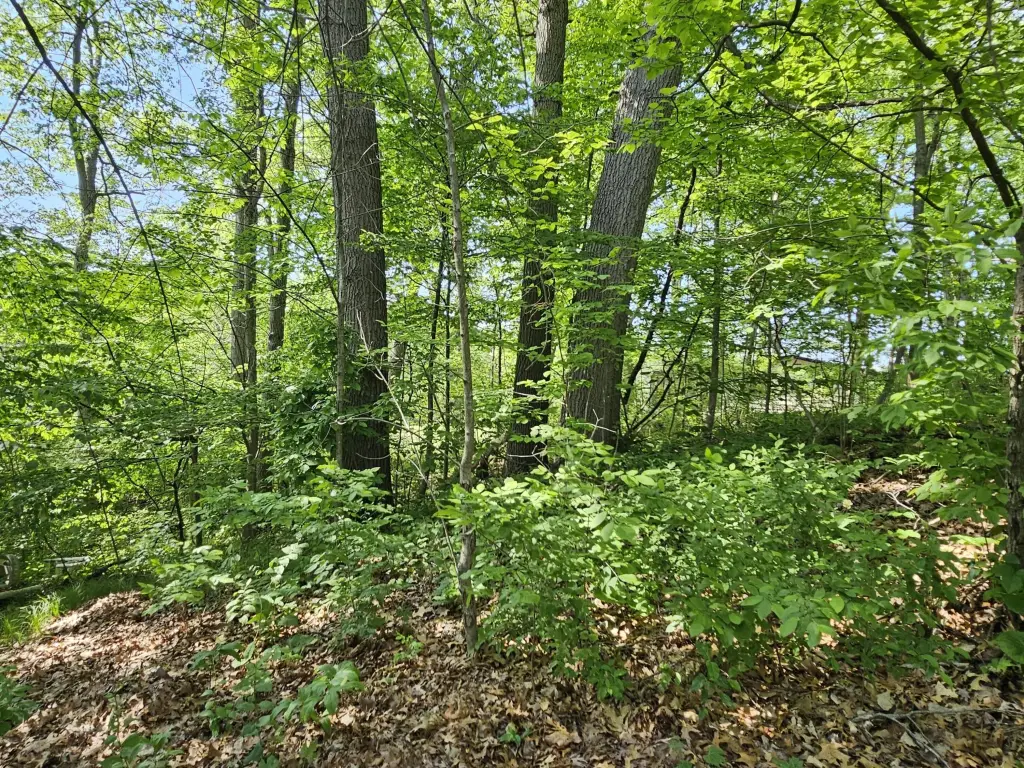 Picture 30