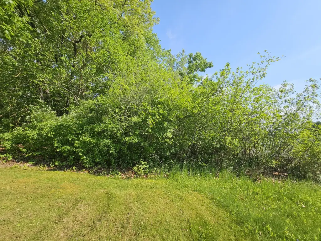 Picture 20