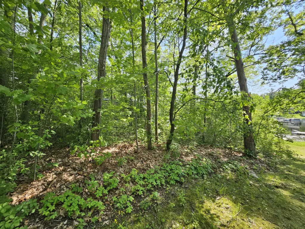 Picture 21