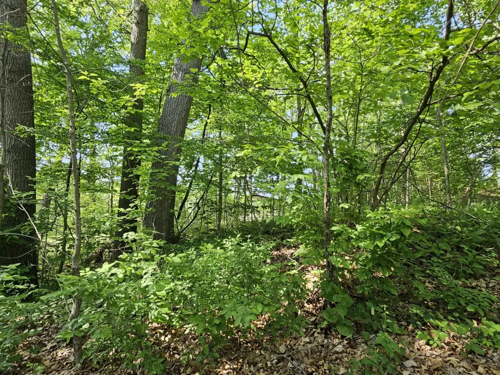 Picture 29